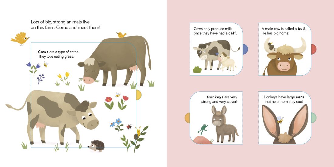 Lift The Flap - Fun Facts: On The Farm