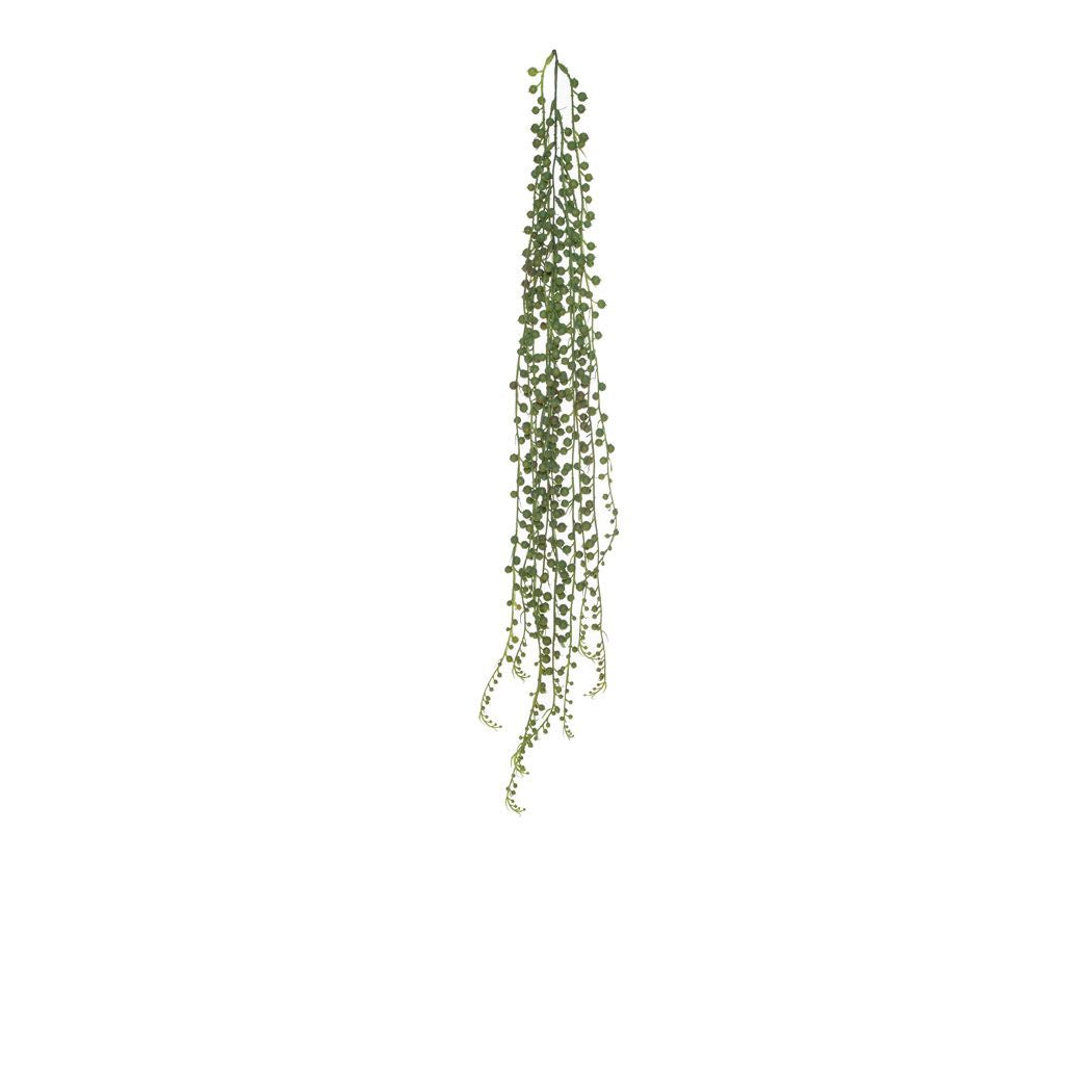 String of Pearls