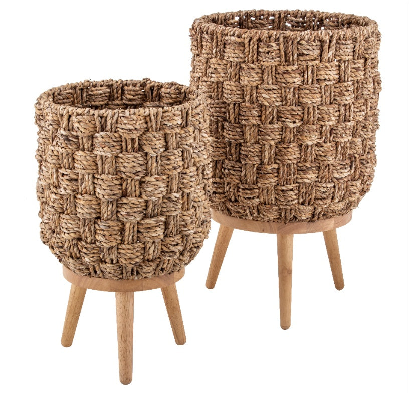 Barbados Planter - Medium