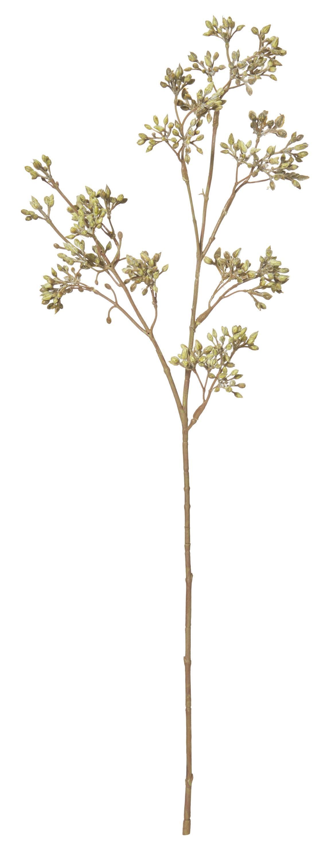 Dogwood Bud Spray