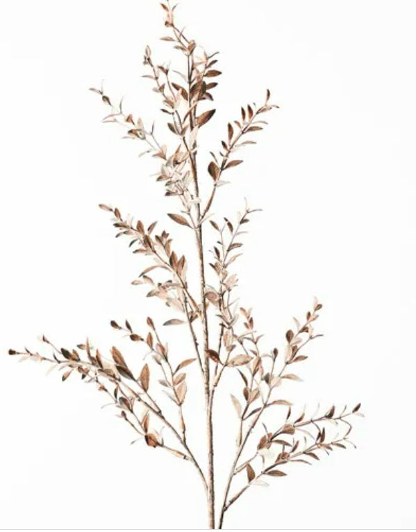 Ruscus Spray - Husk
