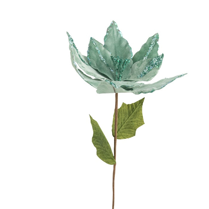 Poinsettia Stem Mint