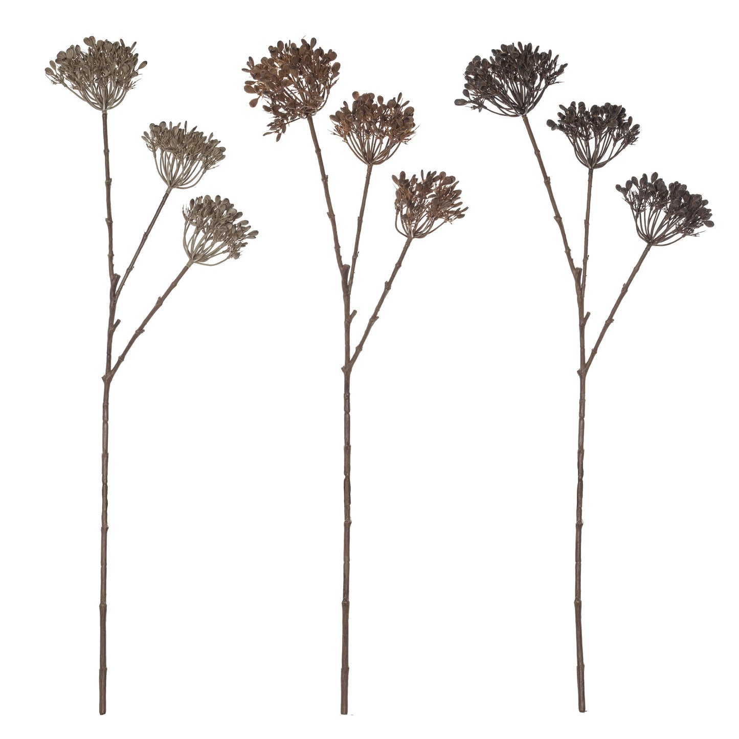 Dill Bud Spray 26x15x80cm Autumn