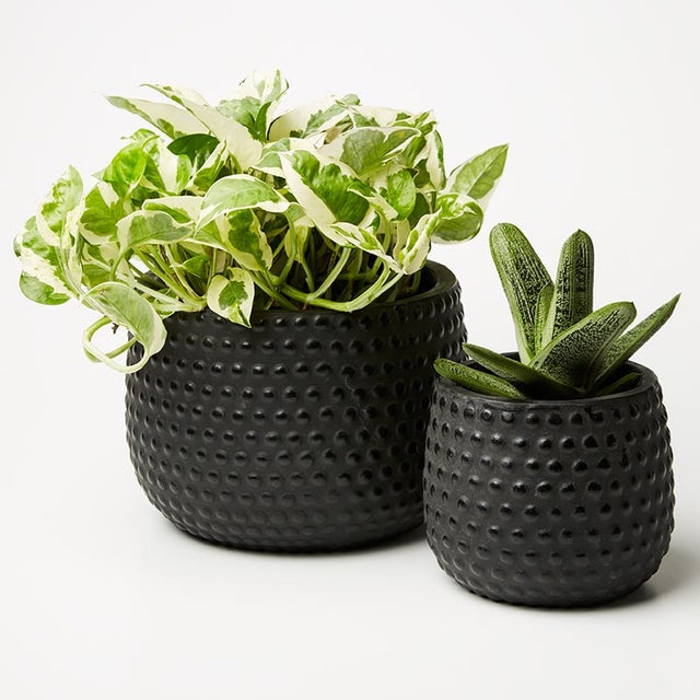 Hobnail Planter (2 sizes)