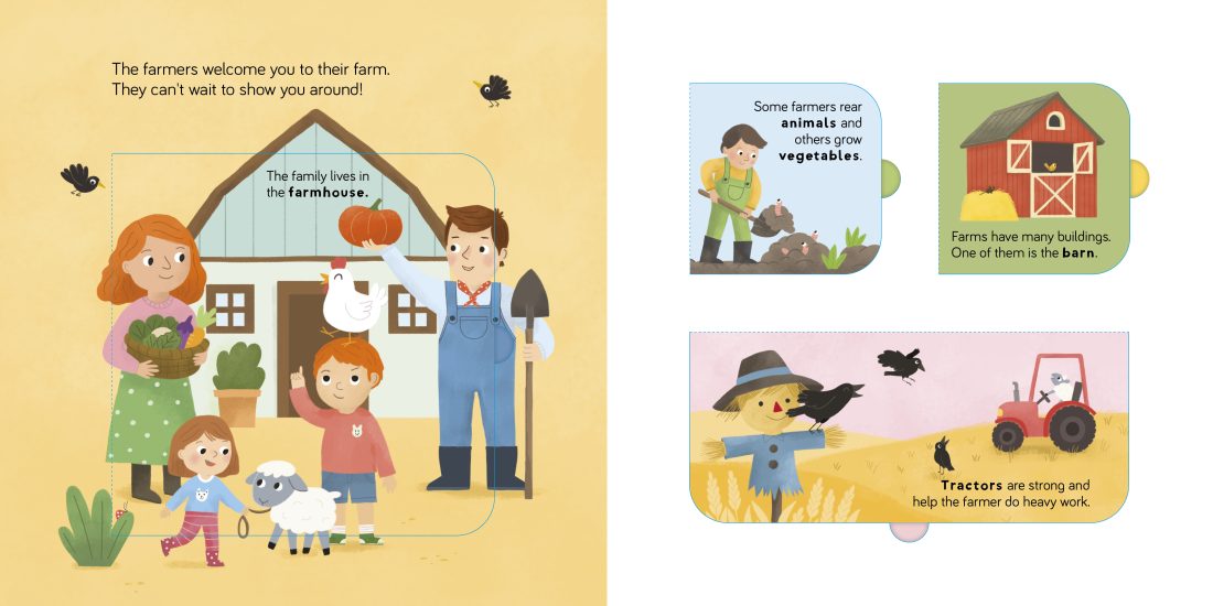 Lift The Flap - Fun Facts: On The Farm