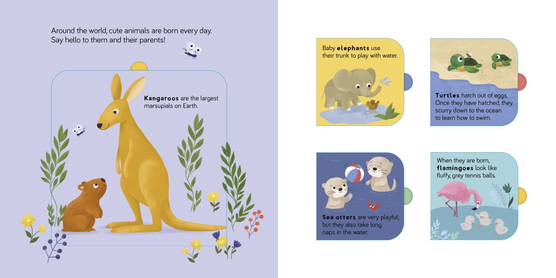 Lift The Flap - Fun Facts: Wild Animals