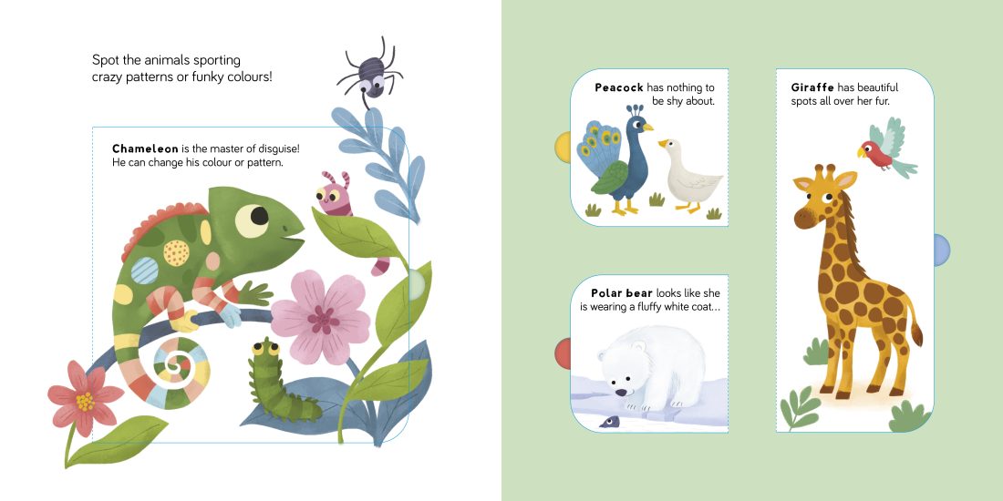 Lift The Flap - Fun Facts: Wild Animals