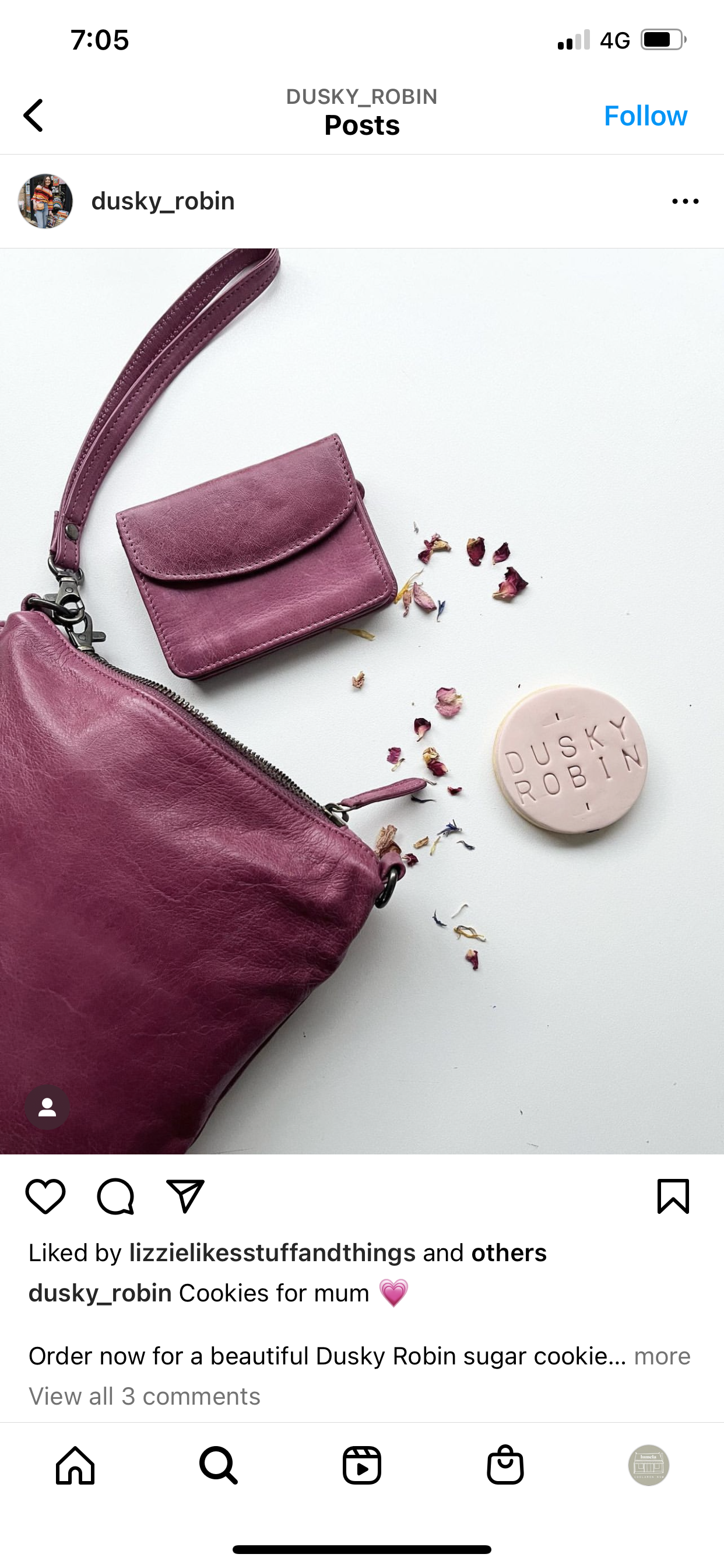 Silvi Bag