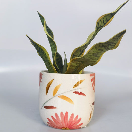 Maxine Floral Planter Red & Yellow 14cm