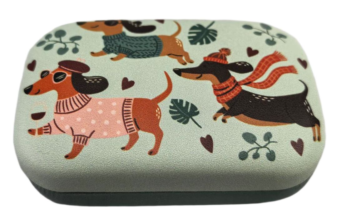 Playful Paws Dog Mini Travel Case Green