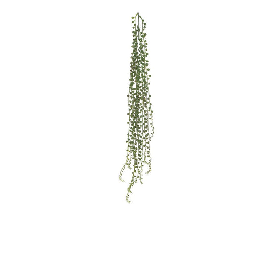 String of Pearls