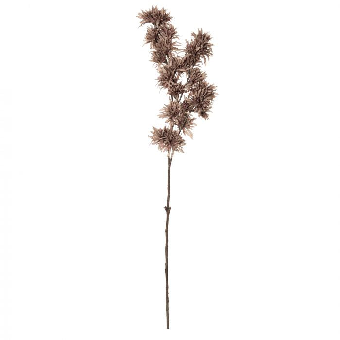 Deco Witch Hazel Spray 15x10x78cm Brown