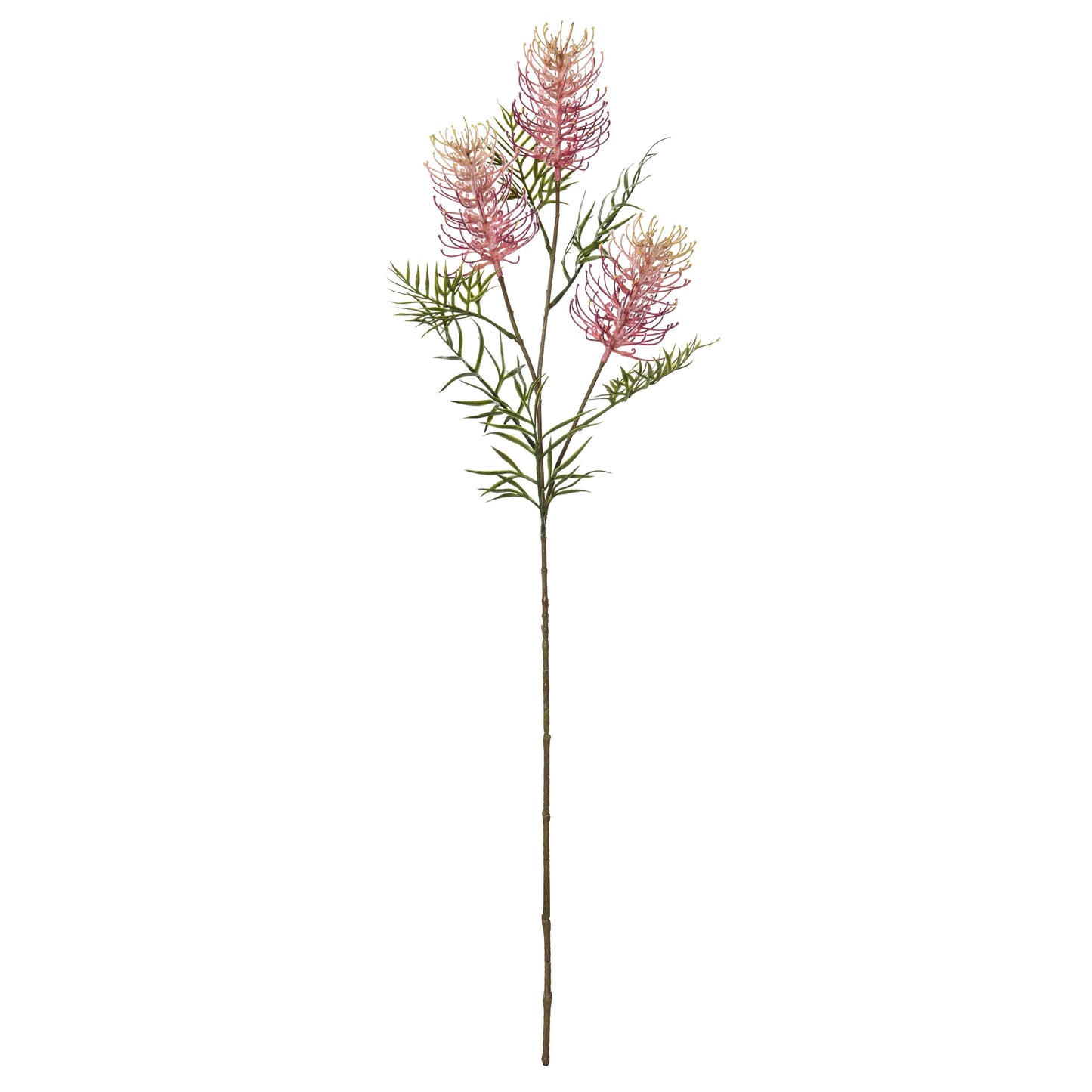Grevillea Spray 21x9x84cm Pink