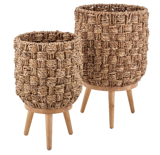 Barbados Planter - Medium
