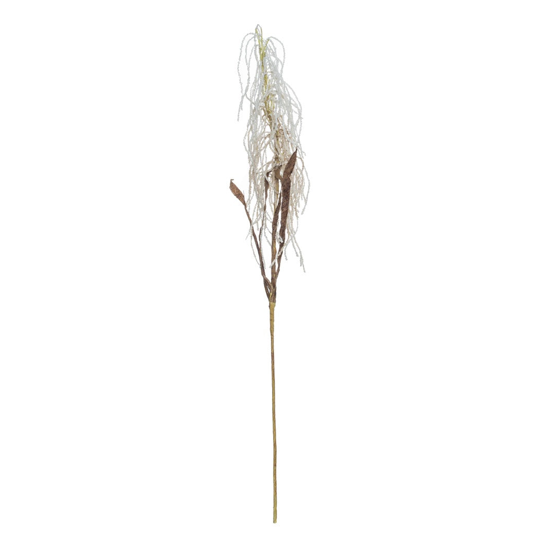 Field Grass Stem