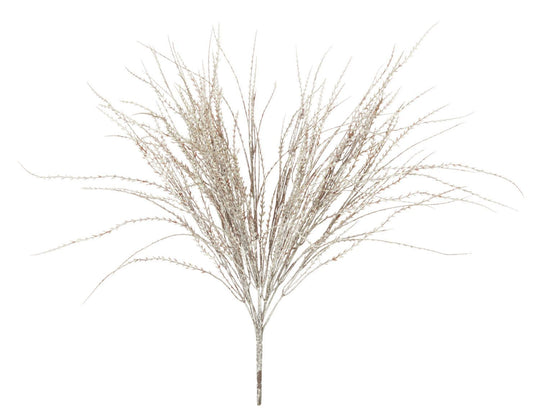 Wheat Grass Bush