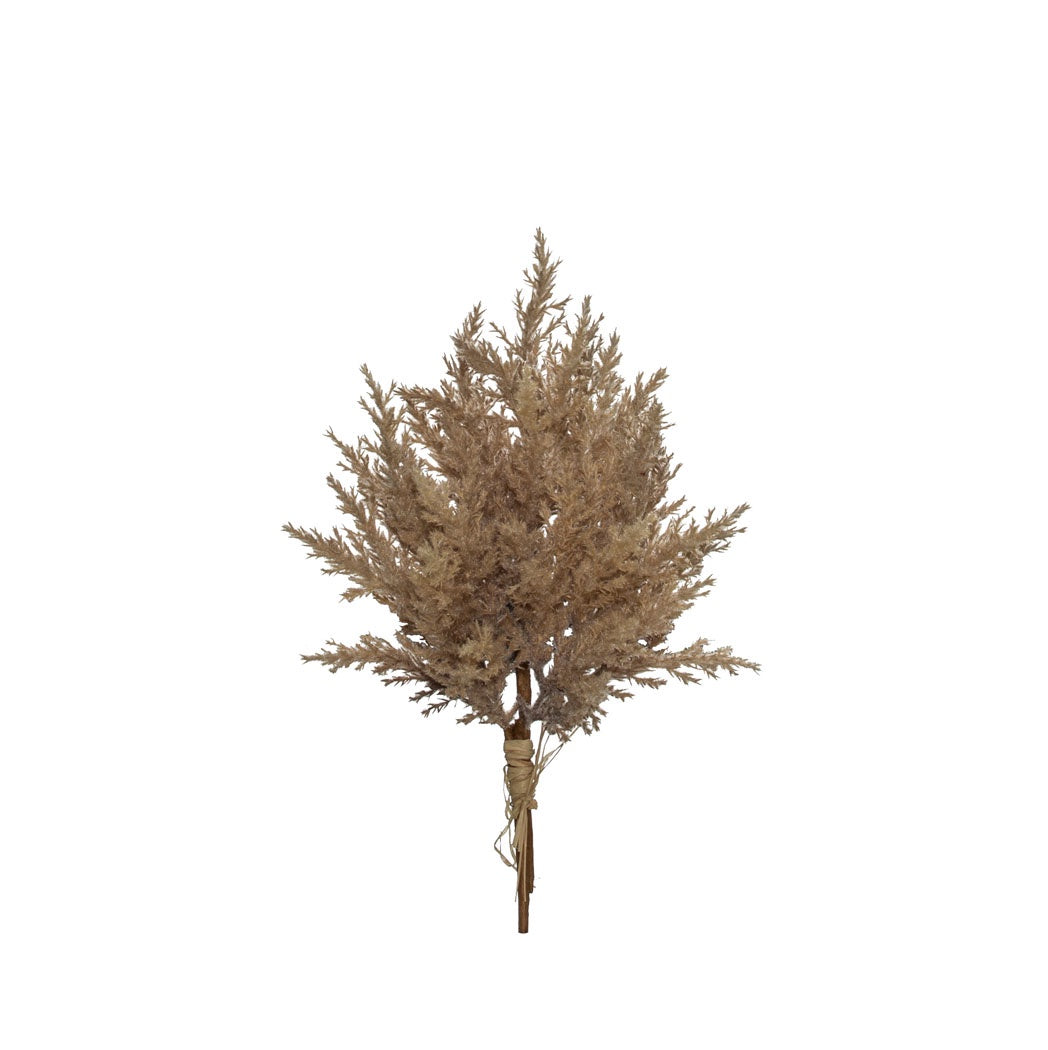Astile Bunch - Brown