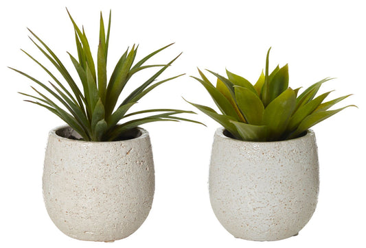 Agave Tub Pot - Small