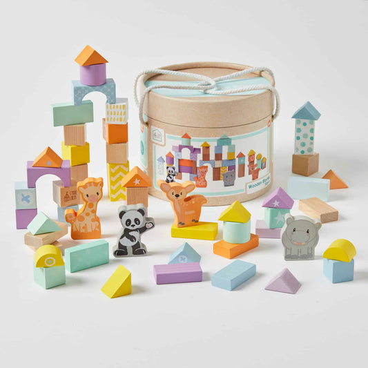 Wooden Blocks - 50pcs