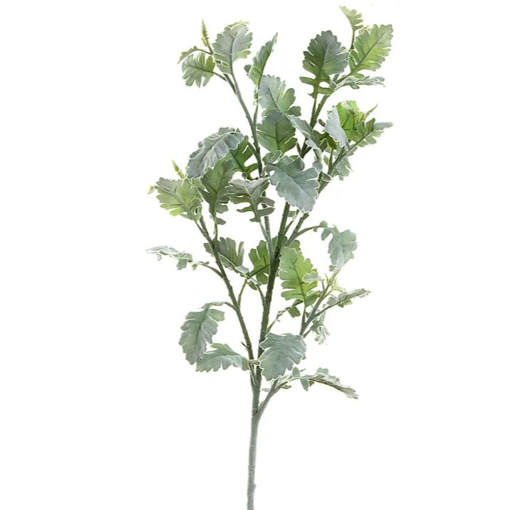 Dusty Miller Stem (Green) 1m