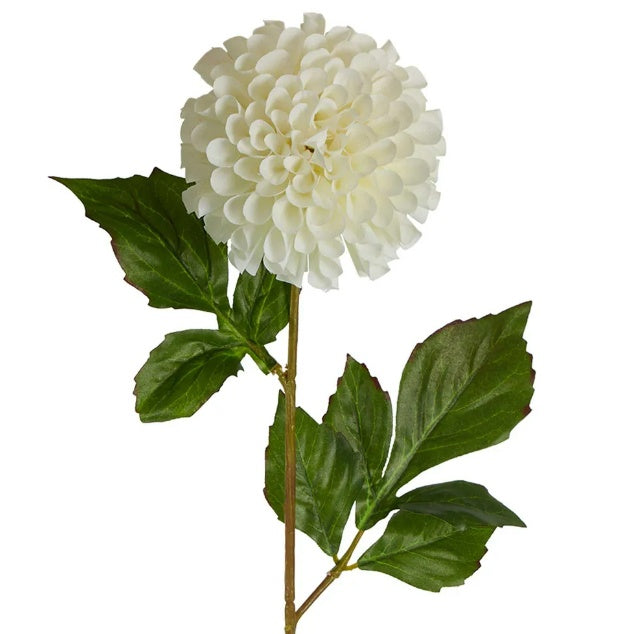 Pompom Ball Dahlia Stem (62cm) Cream