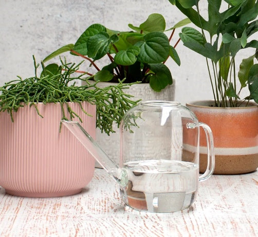 Glass Watering Can
