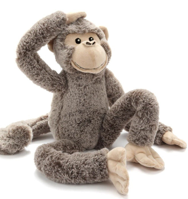 Mani the Monkey