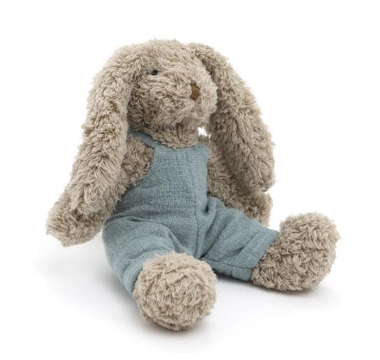 Baby Honey Bunny Boy- Blue