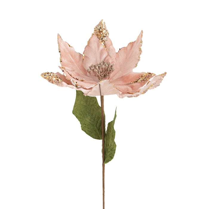 Poinsettia  Stem Pink Chmpgne