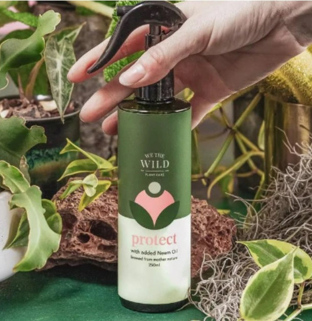 We The Wild - Protect Spray