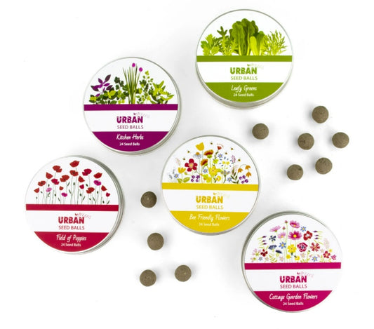 Seed Balls