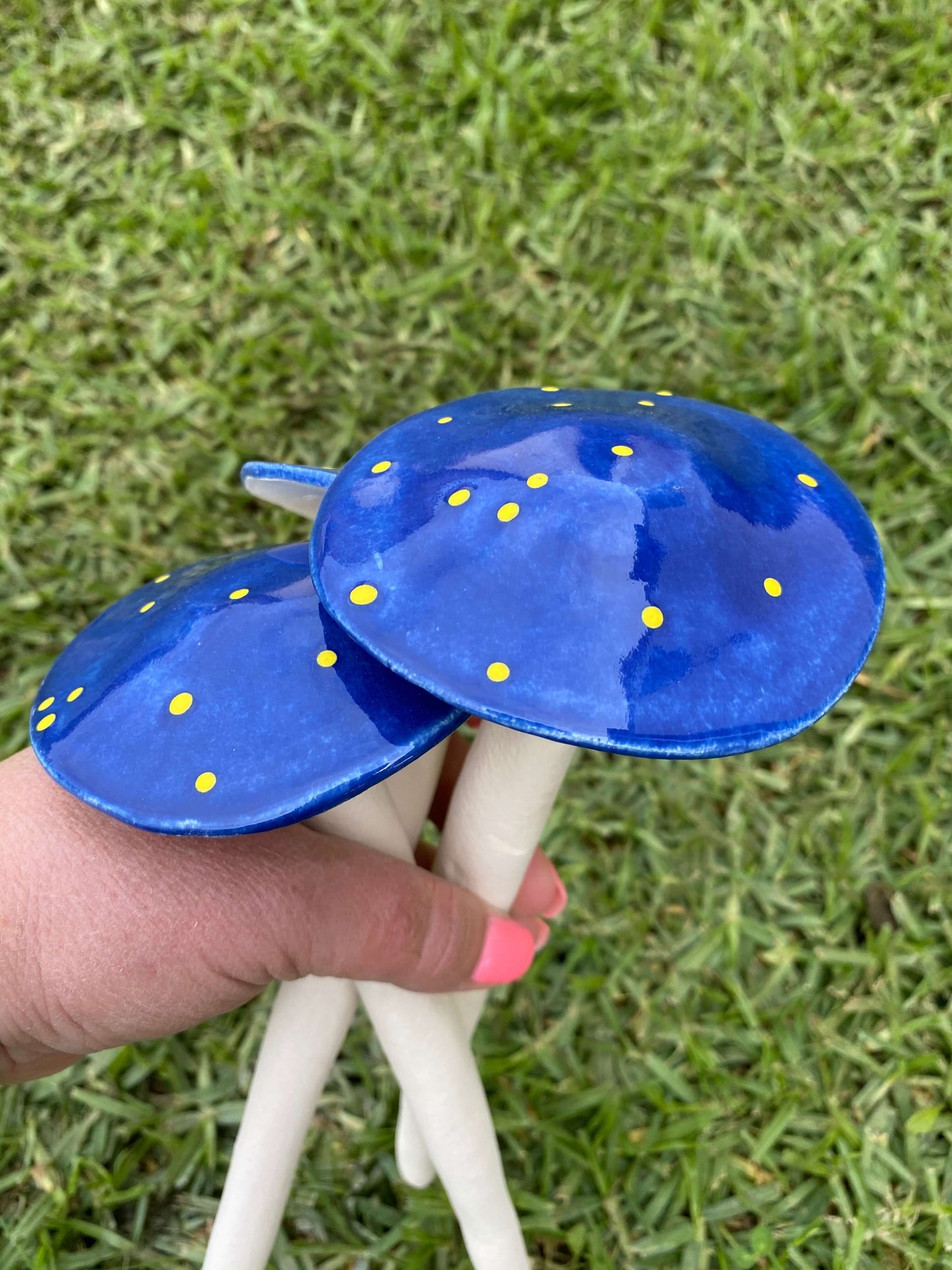 Ceramic - Mushrooms (Blue)