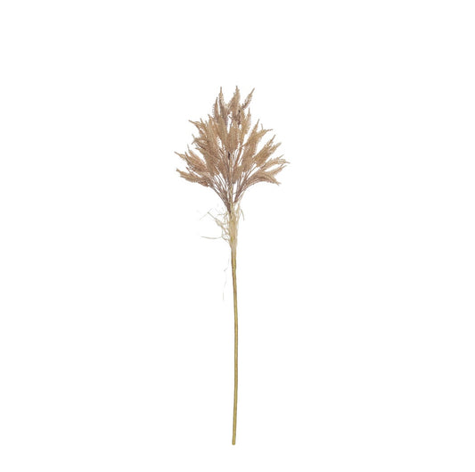 River Grass Spray