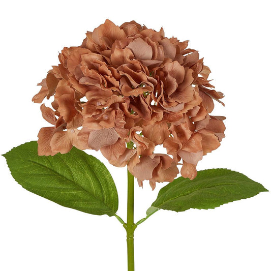 Hydrangea Stem Soft Touch 50cm Brown