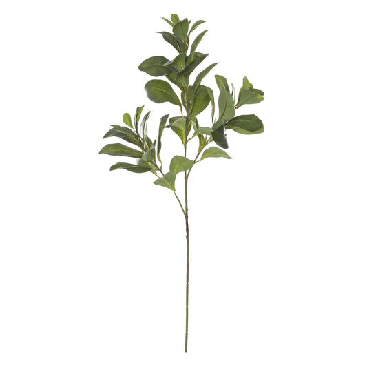 Lush Leaf Spray 33x16x75cm Green